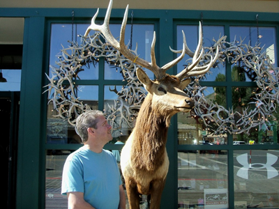 Jackson Hole - July 2010 (12).JPG